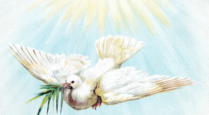 The Holy Spirit Part III: No Root, No Fruit!